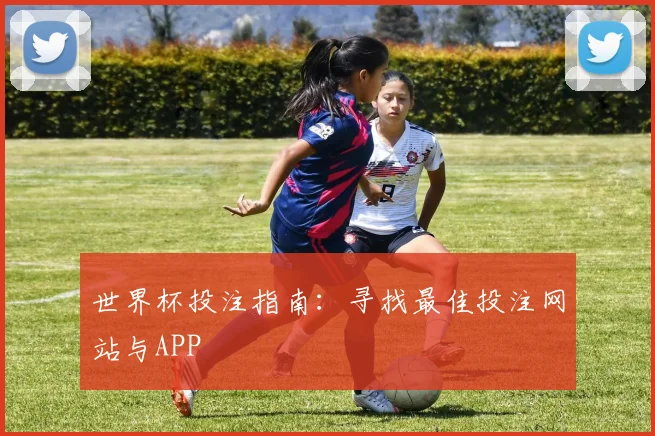世界杯投注指南：寻找最佳投注网站与APP