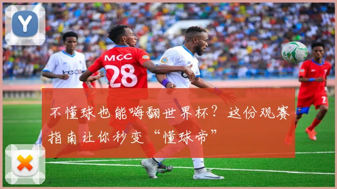 不懂球也能嗨翻世界杯？这份观赛指南让你秒变“懂球帝”
