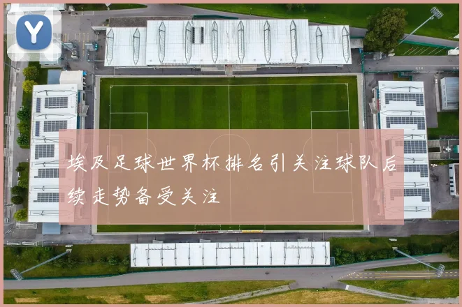 埃及足球世界杯排名引关注球队后续走势备受关注