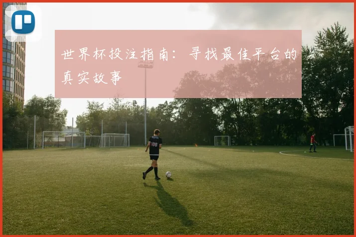 世界杯投注指南：寻找最佳平台的真实故事