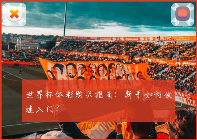 世界杯体彩购买指南：新手如何快速入门？