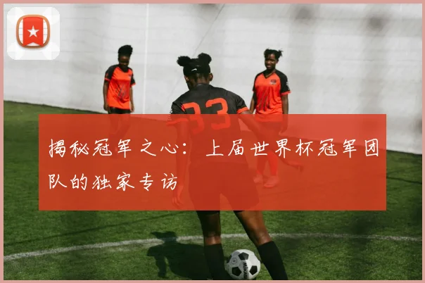揭秘冠军之心：上届世界杯冠军团队的独家专访